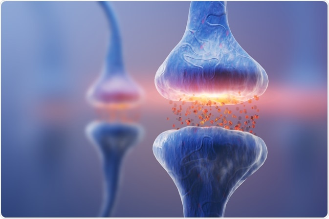 Neurons that are affected in Parkinson
