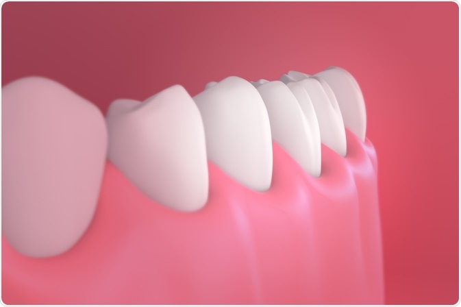 Healthy human gums - By Maen CG