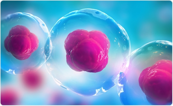 Cells used in mRNA display to generate proteins - By Yurchanka Siarhei