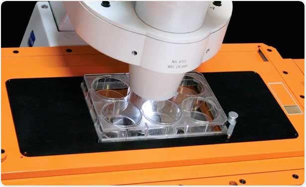 © TissueGnostics (2)