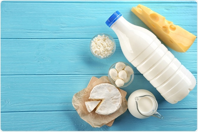 Milk, cheese, and cream - dietary sources of calcium - a photo by Africa Studio