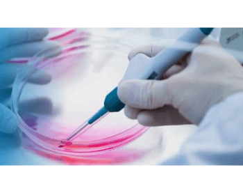 Monitor Living Cells with an InsightMR™ - InsightCell