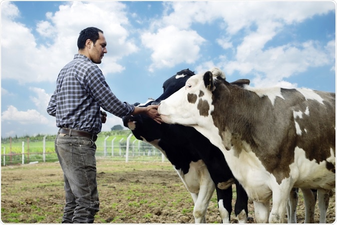 Farmer with cows