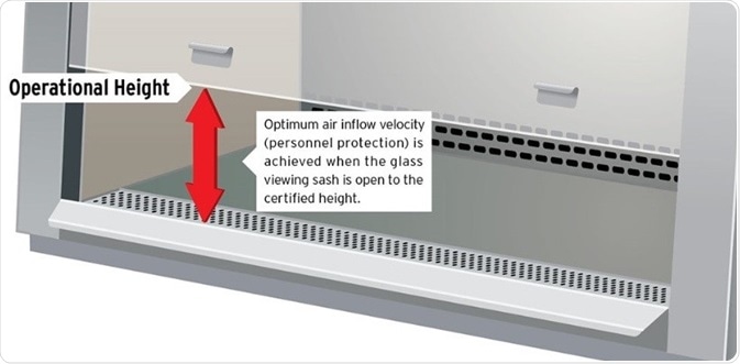 Biological safety cabinet operational height