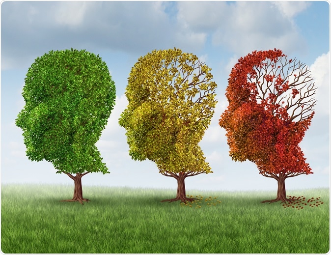 Image Credit: Lightspring / Shutterstock