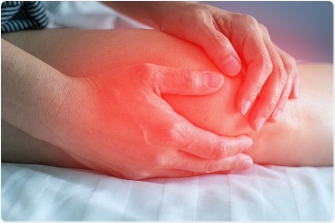 Image Credit: BlurryMe / Shutterstock