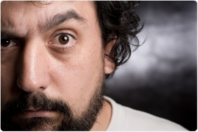 Image Credit: Carlos Restrepo / Shutterstock