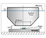 Testing Living Cells to Measure Cell Compression