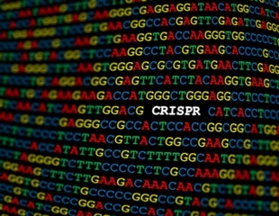 CRISPR-Cas3: A safer gene-editing tool shows promise for transthyretin amyloidosis treatment