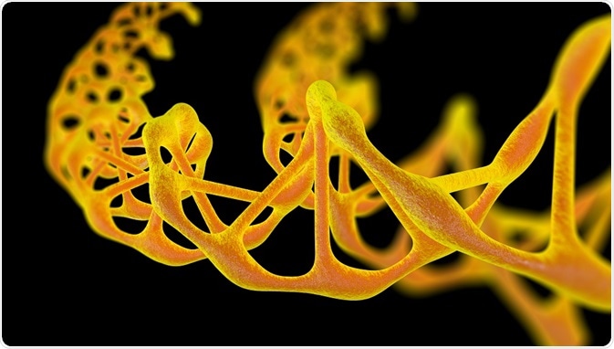 Dark Matter of the genome