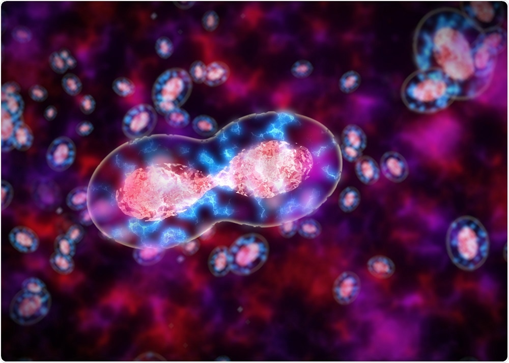 Image of specific cell sub-type