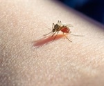 Measures for Preventing Malaria When Travelling Abroad