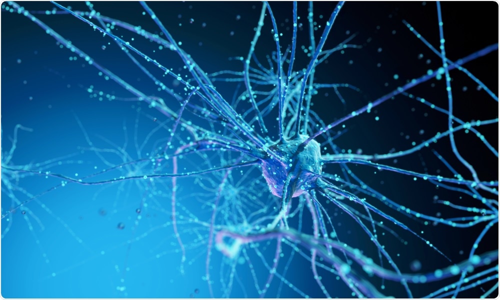 Nerve cells are affected in Parkinson