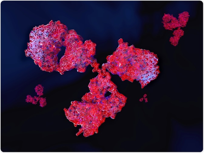 Illustration of an antibody