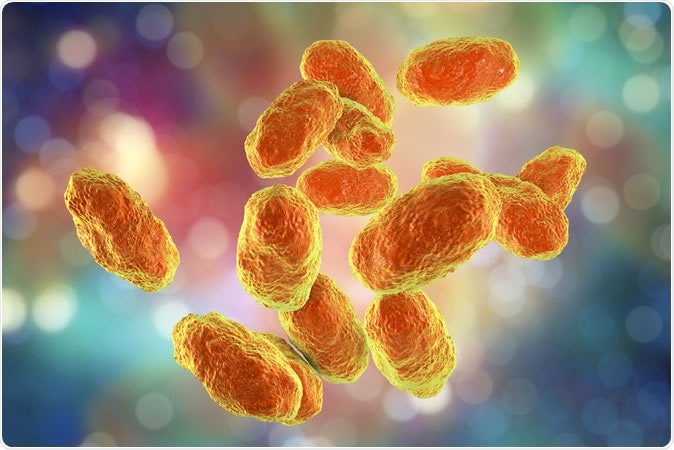 Haemophilus influenzae bacteria, 3D illustration - Illustration Credit: Kateryna Kon / Shutterstock