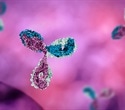 Understanding Monoclonal Antibody Unfolding and Aggregation
