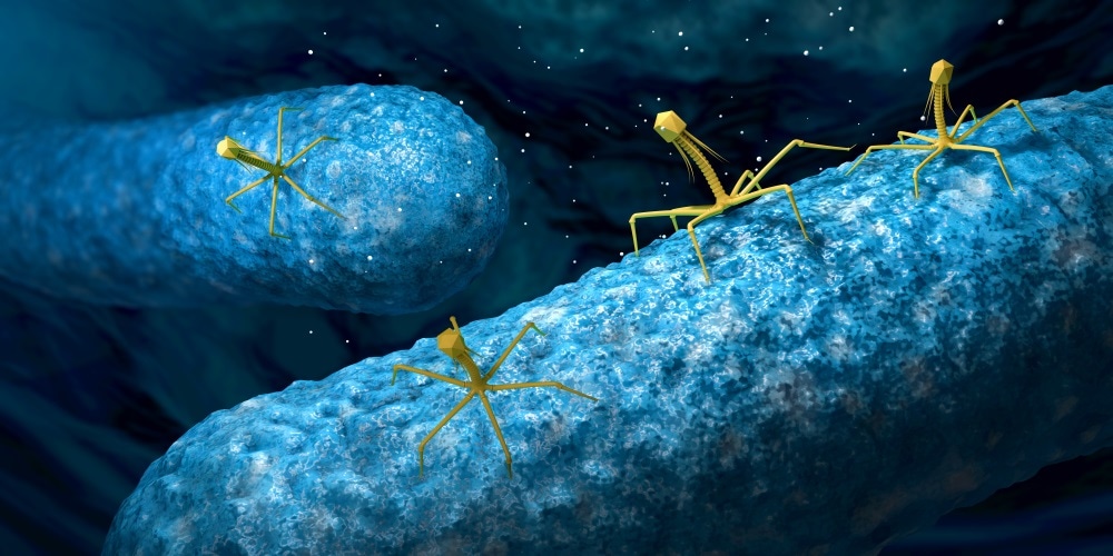 bacteriophage