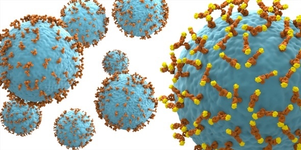 IONTAS antibody for the treatment of B-Cell ALL receives approval for clinical trials