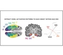 Recognizing and drawing an object engage the brain in similar ways