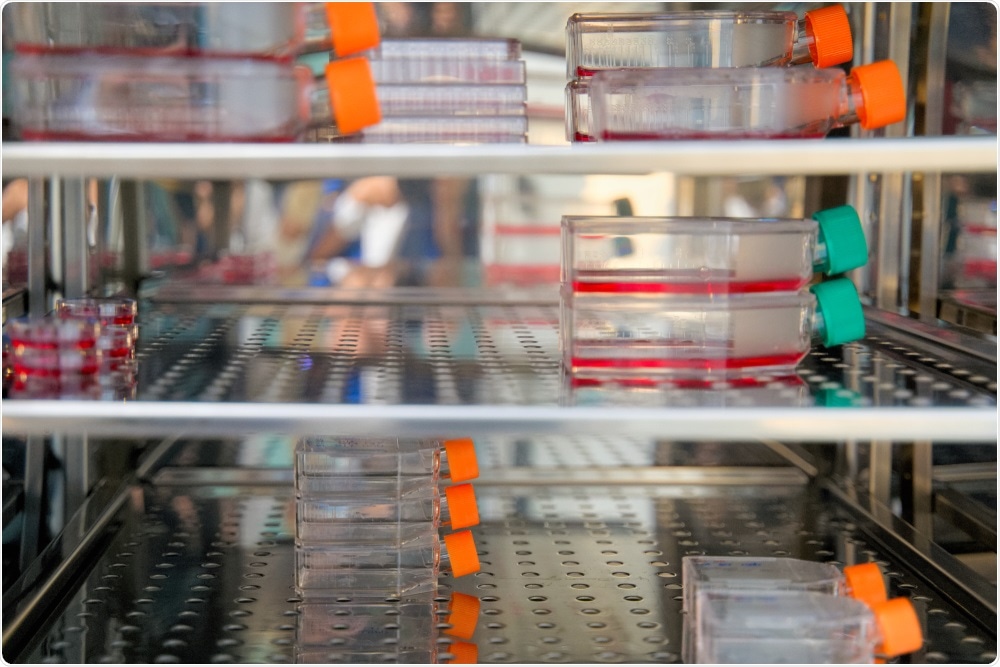 Mycplasma detection - cells in culture in incubator