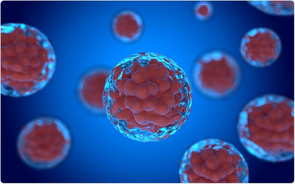 Cells in culture (in vitro)