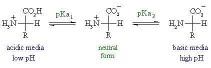 relationship between the pH and pKa of an amino acid