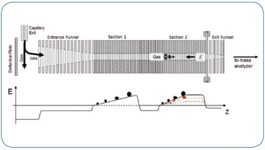 Schematic of TIMS functionality.