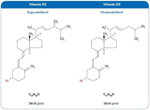 Chemical structure for vitamins D2 and D3.