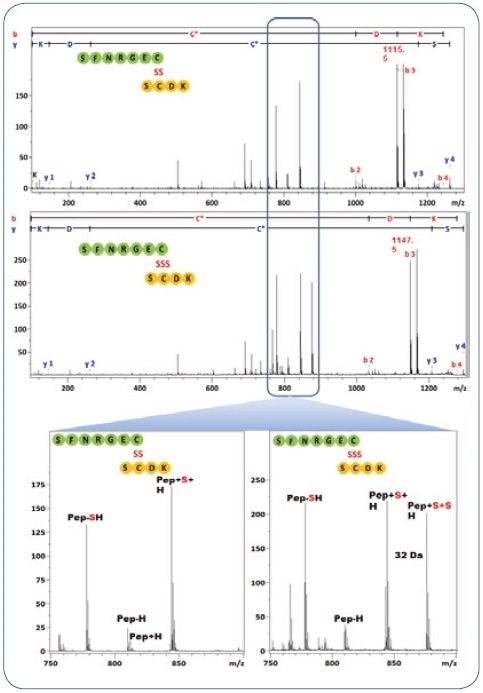 MS/MS spectra from the DSB and TSB peptides in Figure 3. The characteristic fragment pattern for both types of peptides are highlighted, they are used to assign the DSB/TSB peptide-type.