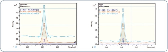 Analysis of a wedge clam extract (left) in comparison to a pyrene standard solution (right). Orange: Quantitation ion; Sky Blue: Confirmation ion 1; Dark Blue: Confirmation ion 2.