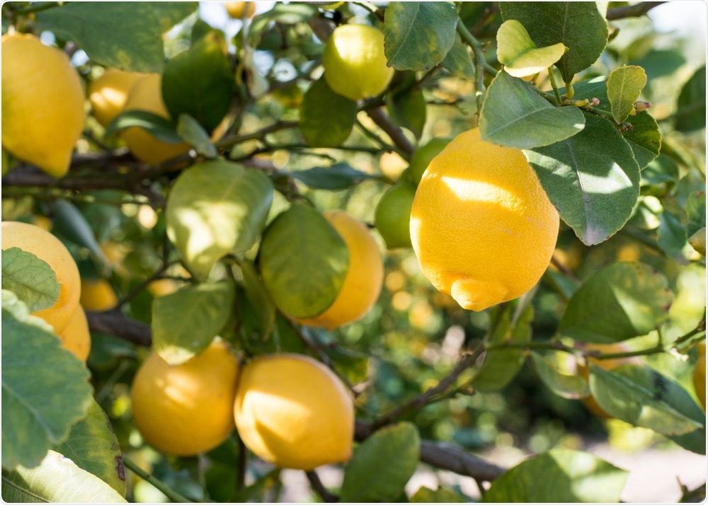 Loss of smell typically occurs in later life