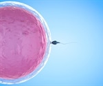 Children born via IVF more likely to develop cancer later in life