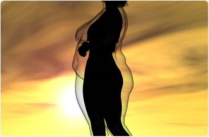 Image Credit: design36 / Shutterstock