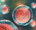 Stem cell research that could help diabetics