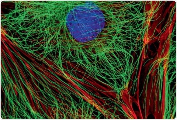 Olympus launches next-generation X Line objectives for clinical and research applications