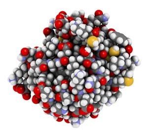 Thioredoxin antioxidant enzyme. 3D illustration. Atoms shown as spheres with conventional color coding. - Illustration Credit: molekuul_be / Shutterstock Thioredoxin antioxidant enzyme. 3D illustration. Atoms shown as spheres with conventional color coding. - Illustration Credit: molekuul_be / Shutterstock