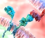Researchers target cancer's protective barrier