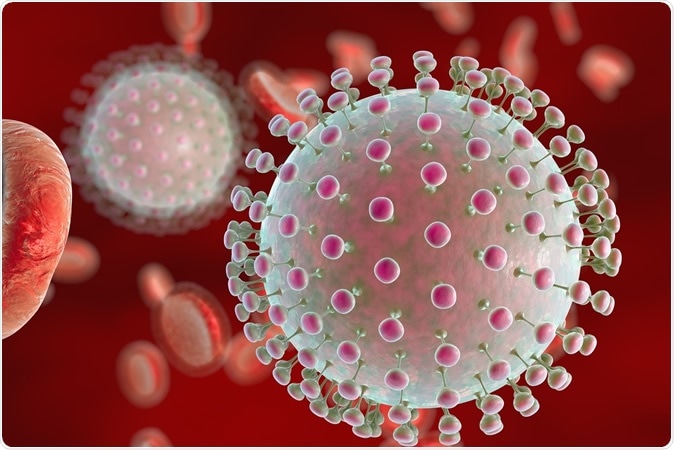 Zika virus in blood with red blood cells, a virus which causes Zika fever found in Brazil and other tropical countries - Illustration Credit: Kateryna Kon / Shutterstock