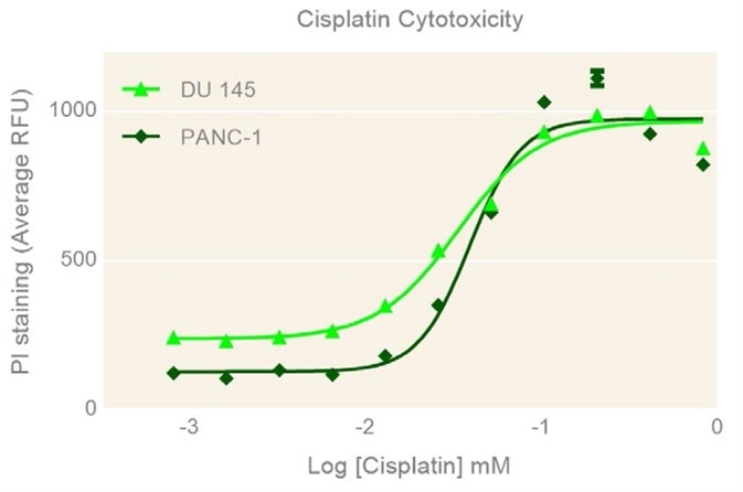 Concentration-dependent cisplatin cytotoxicity. Concentration-dependent cisplatin cytotoxicity.