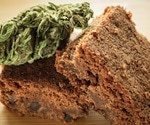 Effects of edible marijuana studied in mice
