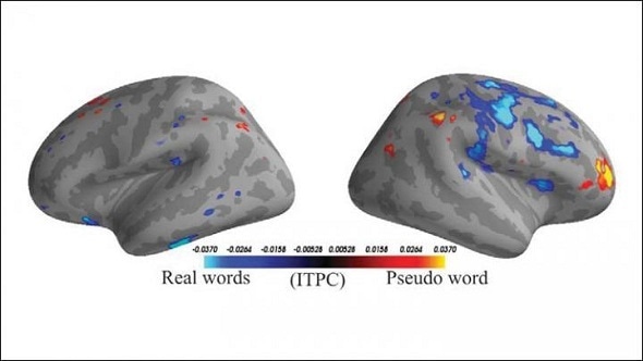 Study uses machine learning algorithms to classify word type based on brain activity