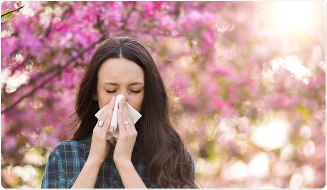 Image Credit: Budimir Jevtic / Shutterstock