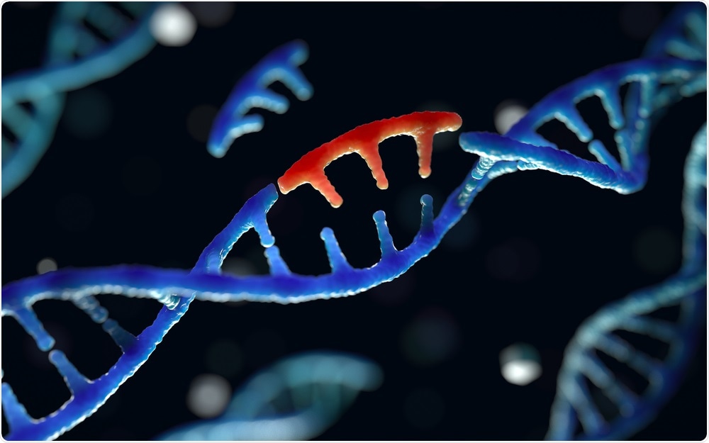 DNA with rare genetic variant highlighted