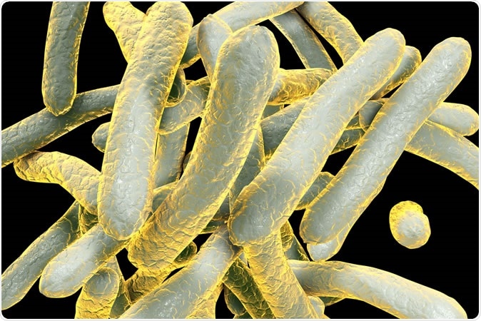 3D illustration of bacterium Mycobacterium tuberculosis.  Image Credit: Kateryna Kon / Shutterstock