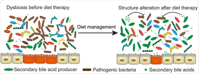Tracking dogs on a prescription diet for an intestinal disease, researchers found that those that responded well shared a suite of changes to their microbiome. (Image: Penn Vet)