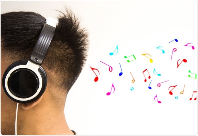 Image Credit: Notto Yeez / Shutterstock