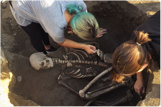 Archaeological excavations research on human burial - Image Credit: Masarik / Shutterstock