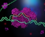 CRISPR discovery opens up new possibilities for genetic engineering