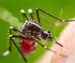 Travelers warned about Oropouche virus in South American countries