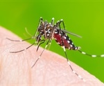 Study reveals how Zika virus hijacks host protein for reproduction